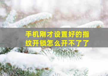 手机刚才设置好的指纹开锁怎么开不了了