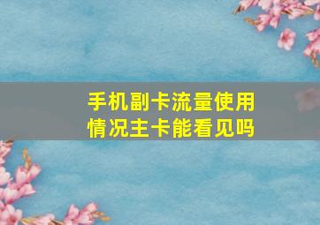 手机副卡流量使用情况主卡能看见吗