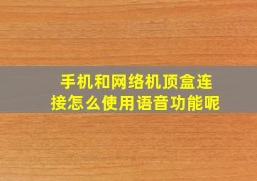 手机和网络机顶盒连接怎么使用语音功能呢