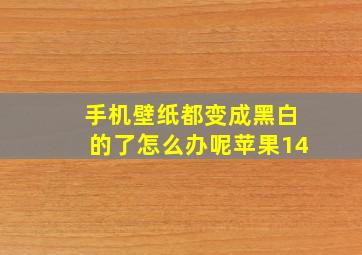 手机壁纸都变成黑白的了怎么办呢苹果14