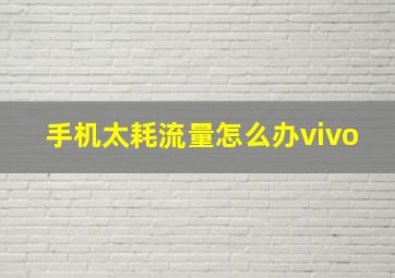 手机太耗流量怎么办vivo