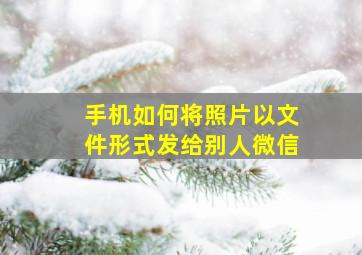 手机如何将照片以文件形式发给别人微信