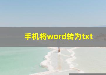 手机将word转为txt