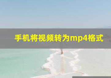 手机将视频转为mp4格式