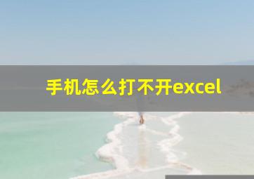 手机怎么打不开excel