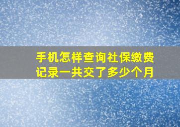 手机怎样查询社保缴费记录一共交了多少个月