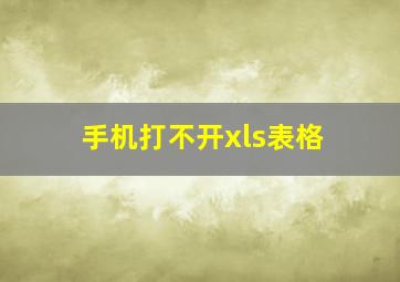 手机打不开xls表格