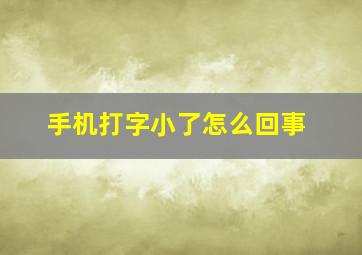 手机打字小了怎么回事