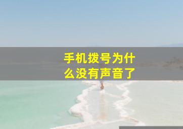 手机拨号为什么没有声音了