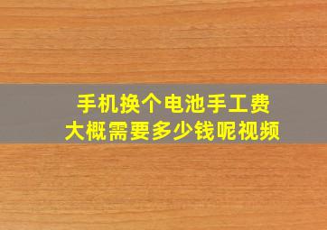 手机换个电池手工费大概需要多少钱呢视频