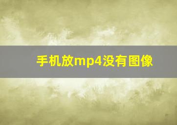 手机放mp4没有图像