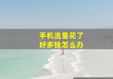 手机流量花了好多钱怎么办