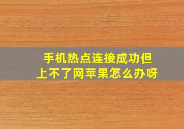 手机热点连接成功但上不了网苹果怎么办呀