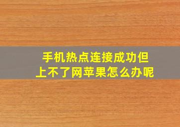 手机热点连接成功但上不了网苹果怎么办呢