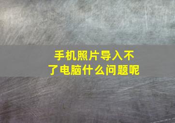 手机照片导入不了电脑什么问题呢