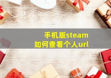 手机版steam如何查看个人url