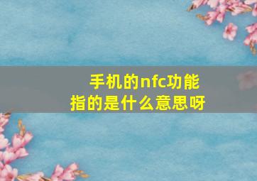 手机的nfc功能指的是什么意思呀