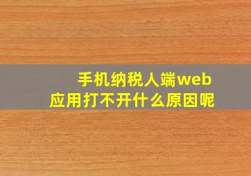 手机纳税人端web应用打不开什么原因呢