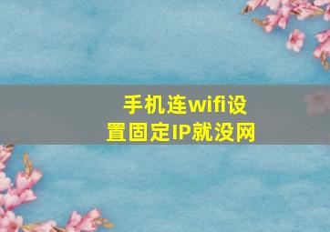 手机连wifi设置固定IP就没网