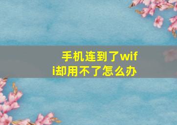 手机连到了wifi却用不了怎么办