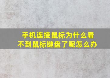 手机连接鼠标为什么看不到鼠标键盘了呢怎么办