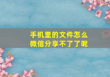 手机里的文件怎么微信分享不了了呢