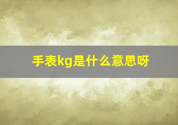 手表kg是什么意思呀