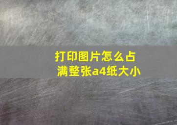 打印图片怎么占满整张a4纸大小