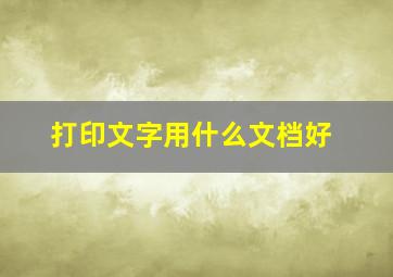 打印文字用什么文档好