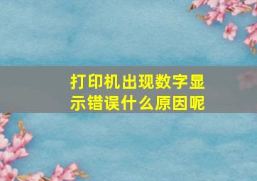 打印机出现数字显示错误什么原因呢