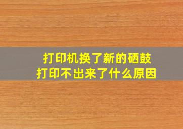 打印机换了新的硒鼓打印不出来了什么原因