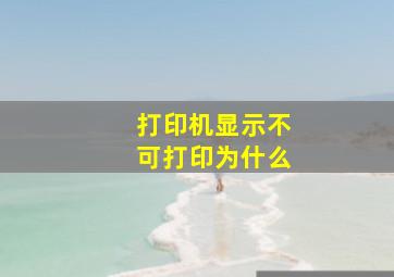 打印机显示不可打印为什么