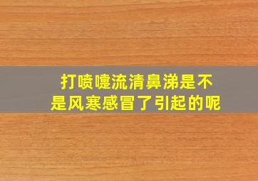 打喷嚏流清鼻涕是不是风寒感冒了引起的呢