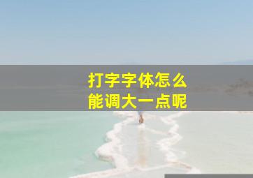 打字字体怎么能调大一点呢