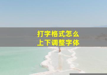 打字格式怎么上下调整字体