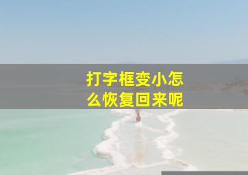 打字框变小怎么恢复回来呢