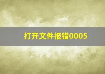 打开文件报错0005