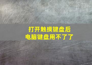 打开触摸键盘后电脑键盘用不了了