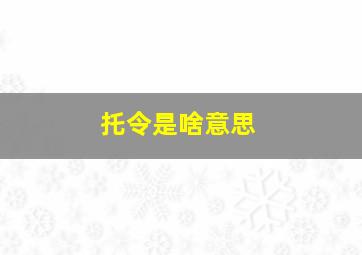 托令是啥意思