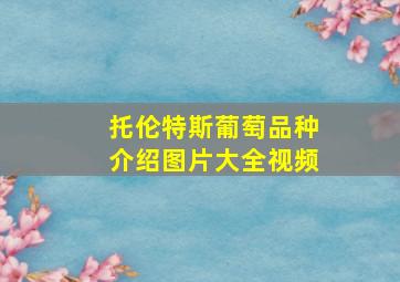 托伦特斯葡萄品种介绍图片大全视频