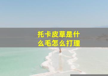 托卡皮草是什么毛怎么打理