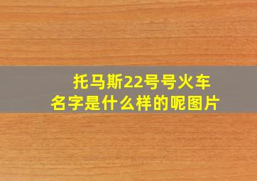 托马斯22号号火车名字是什么样的呢图片