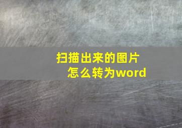 扫描出来的图片怎么转为word