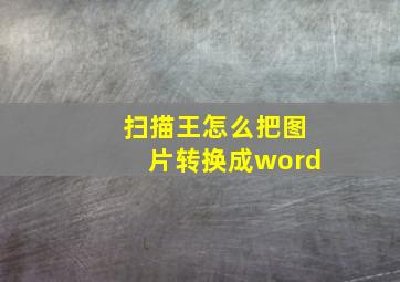 扫描王怎么把图片转换成word