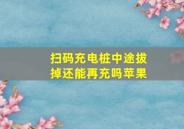 扫码充电桩中途拔掉还能再充吗苹果