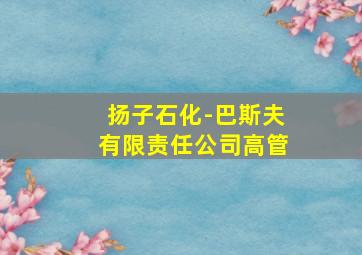 扬子石化-巴斯夫有限责任公司高管