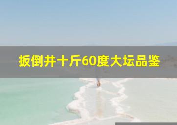 扳倒井十斤60度大坛品鉴