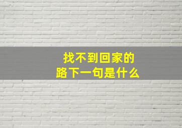 找不到回家的路下一句是什么