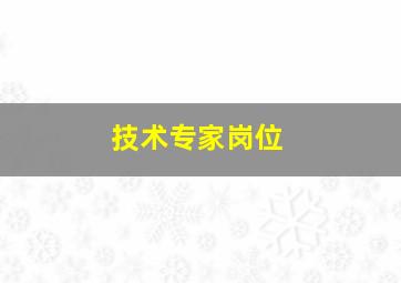 技术专家岗位