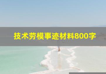 技术劳模事迹材料800字